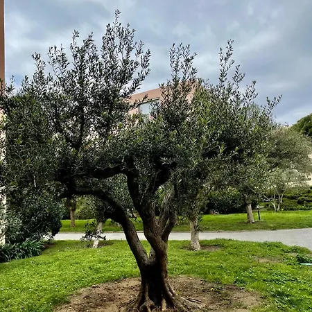 Centre * Saint Tropez